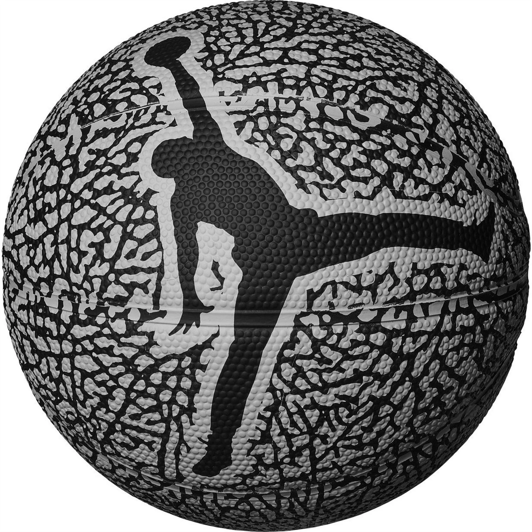 Air Jordan Mini Graphic Skills Basketball - Image 3