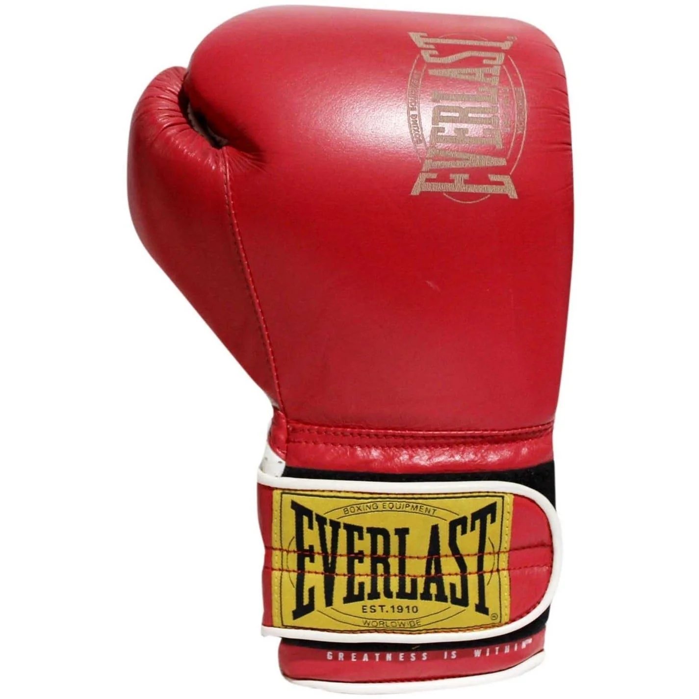 Everlast 1910 Sparring Glove - Image 11