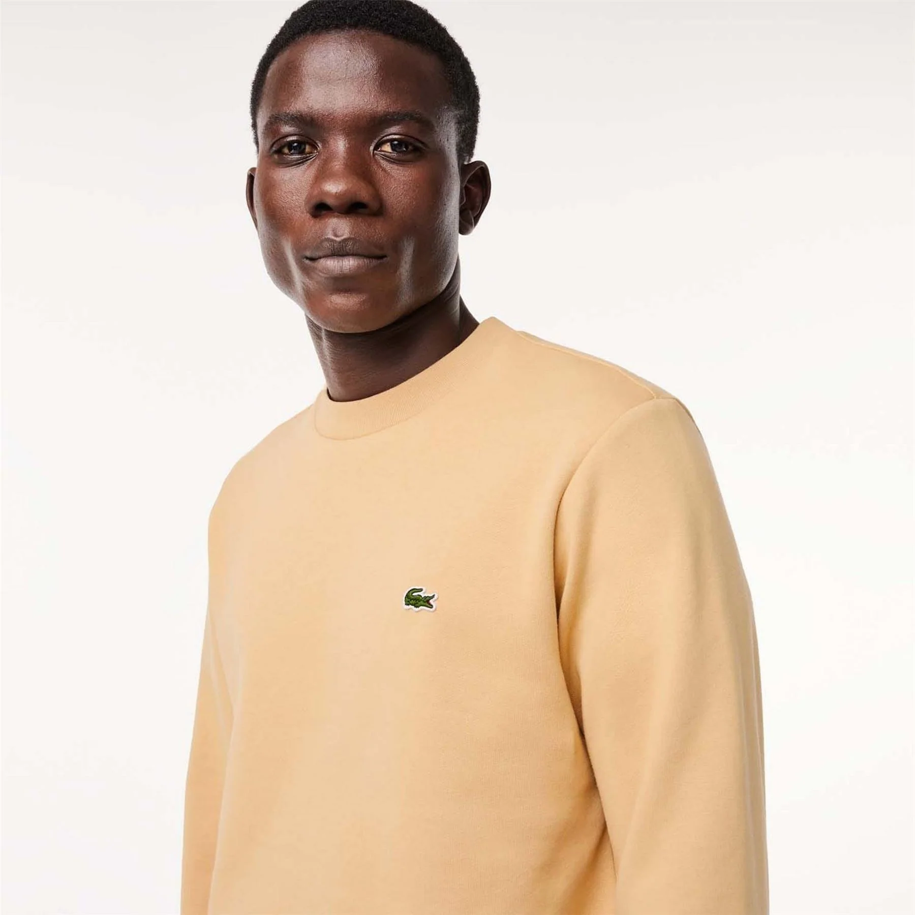 Lacoste Crewneck Sweatshirt - Image 6