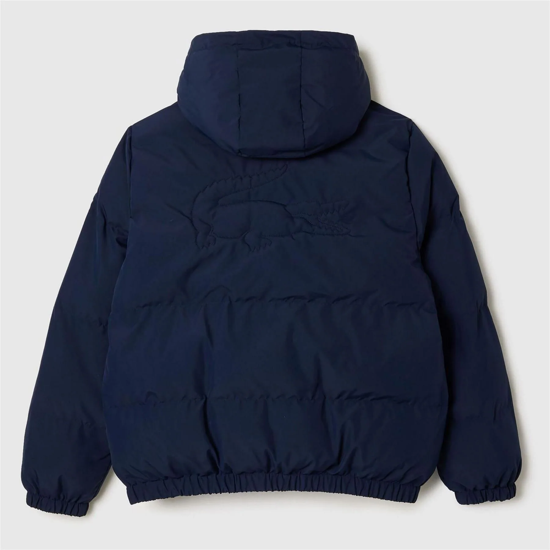 Lacoste Jacket - Image 2