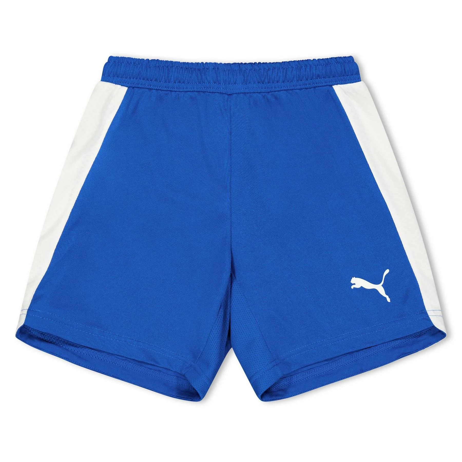Puma (fb) Evospeed Indoor Shorts Juniors - Image 2