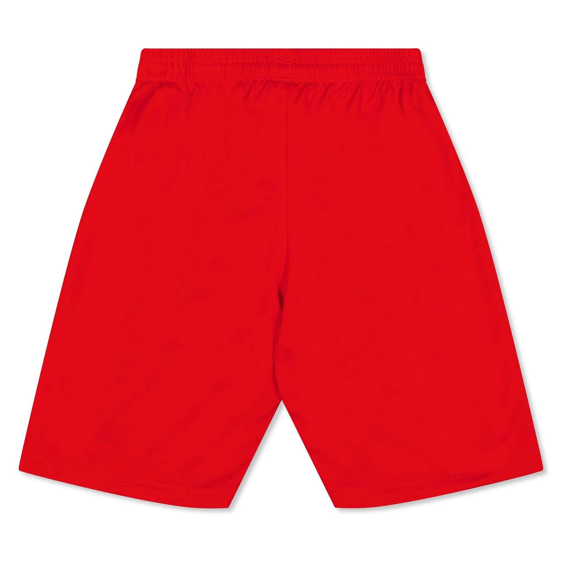 Puma Fb Team Shorts With Brief Juniors - Image 2