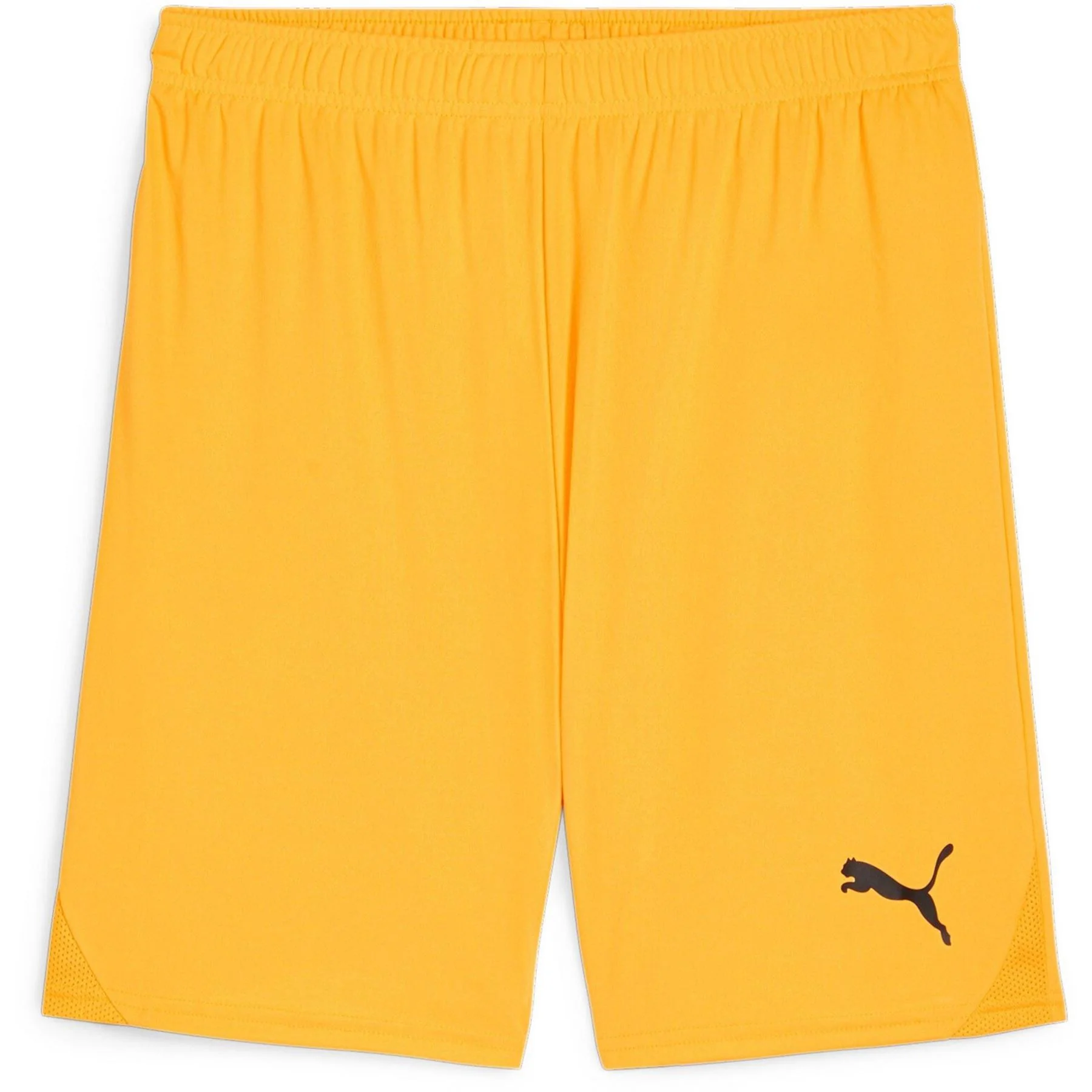 Puma Mens Teamgoal Shorts Football Shorts