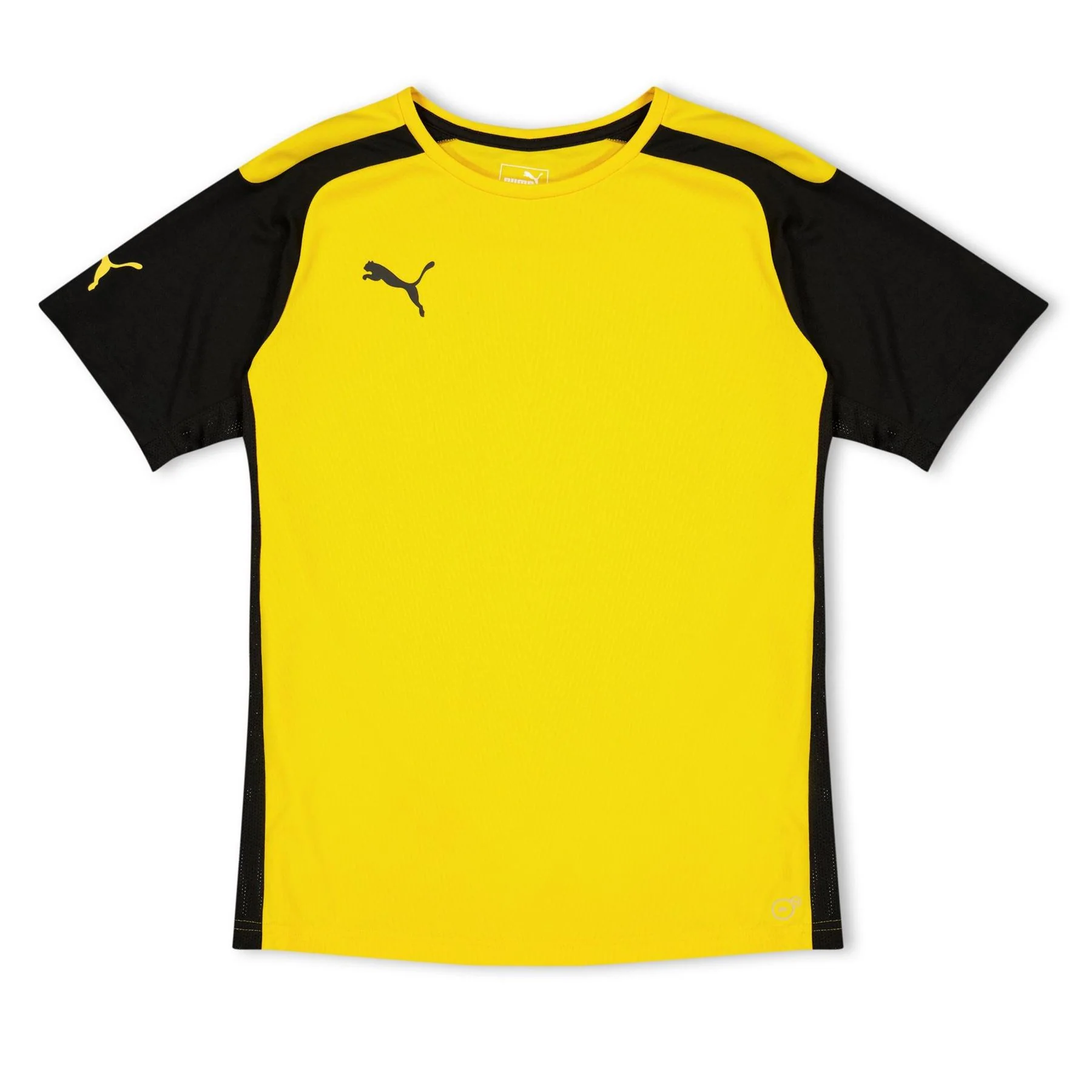 Puma Speed Jersey Short Sleeve Performance Gym Top