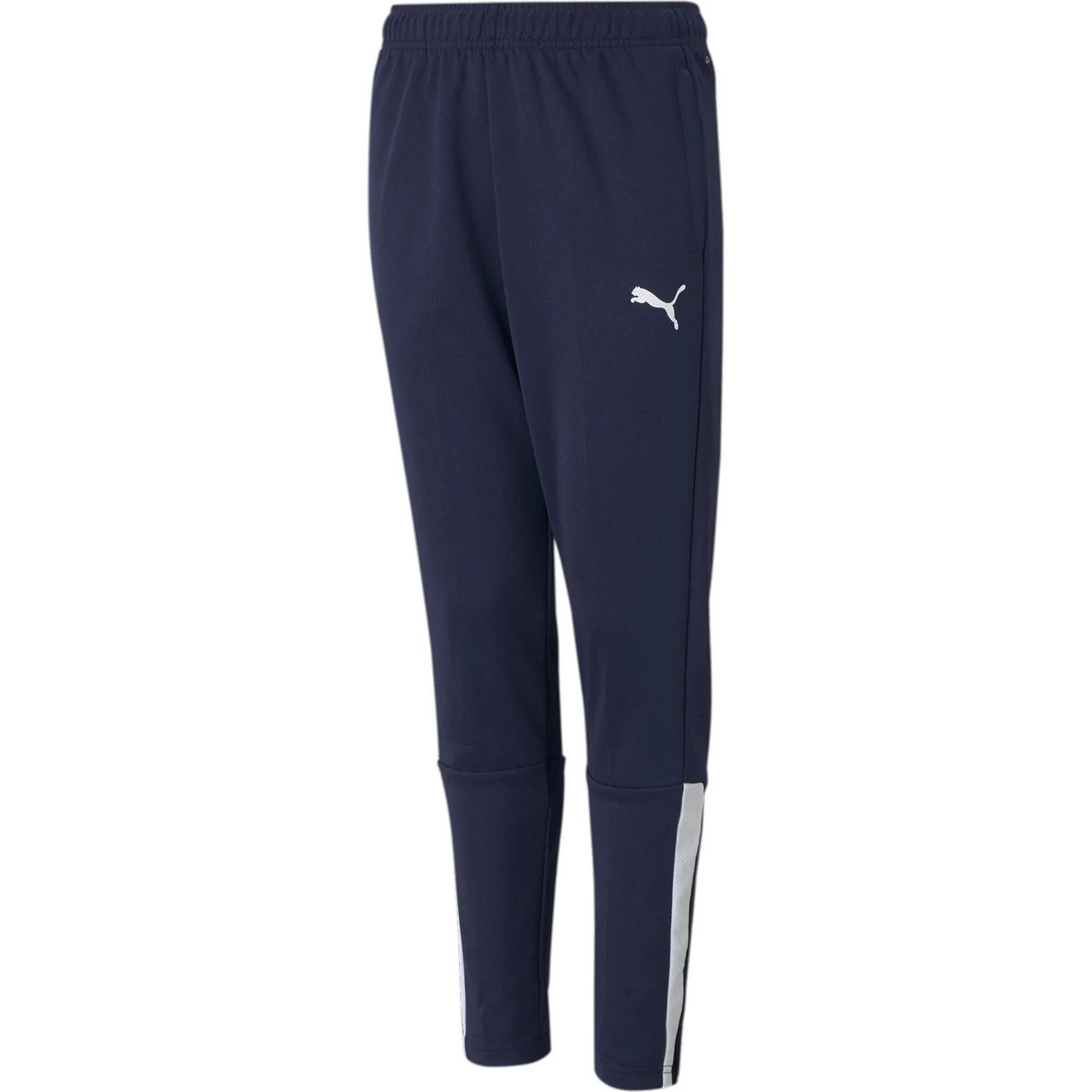 Puma Teamliga Training Pants Jr Tracksuit Bottom Unisex Kids