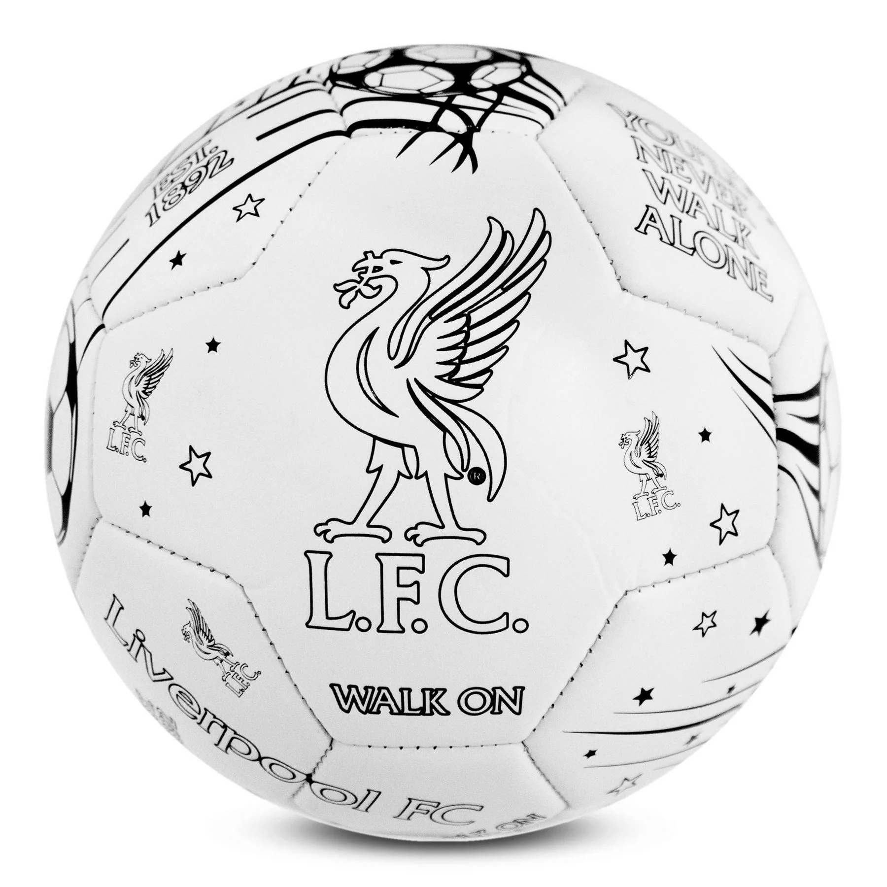 Team Colour In Football Supporter Set - Image 18