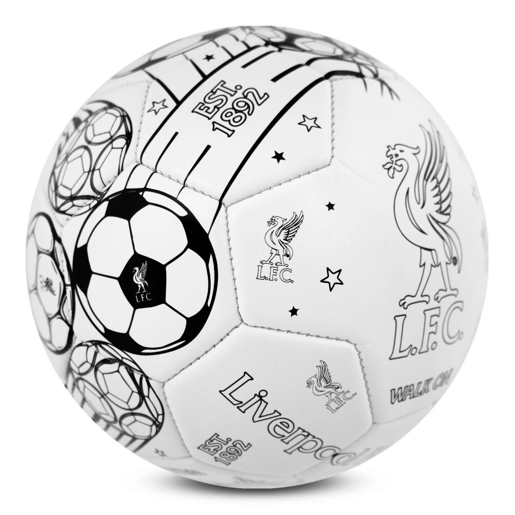 Team Colour In Football Supporter Set - Image 20